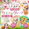 「カラフルな花が盛りだくさん！うさキスパンの「カラフルイースター2025」開催 ！！」