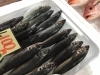 「魚魚市場鮮魚コーナーおすすめは「タイラギ」です♪」