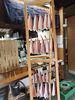 「📣本日のお魚情報🐟」