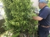 移植の師匠に同行いただきましたー!「宝塚市から川西市へ移植をしました!」