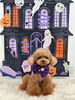 つぐおくん「Happy Halloween 2026🎃」