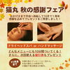 「11月生まれのリピーター様へお得な割引プレゼント！（=^ェ^=) 整体・オイル・リーディング・占い・顔そり・氣功」