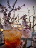 その梅で作った梅酒でお花見「Good morning Otaru! ◎ 小樽の古民家ゲストハウスより」