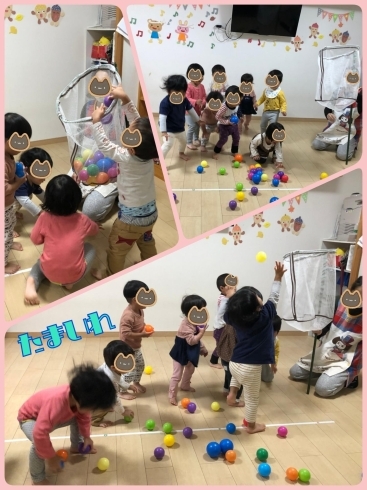 たまいれ大会☆１歳児「雨の日のお楽しみ♡  [交野市・小規模保育園]」