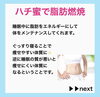 「はちみつ効果で美と健康を！」