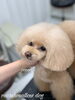 「冬のオプションキャンペーン　^ - ^」
