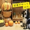 10回 【犬連れカフェ】お花いっぱいの「Yamayo cafe（ヤマヨカフェ）」へ行ってみた！　☆桜区☆