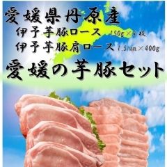 愛媛の芋豚セット