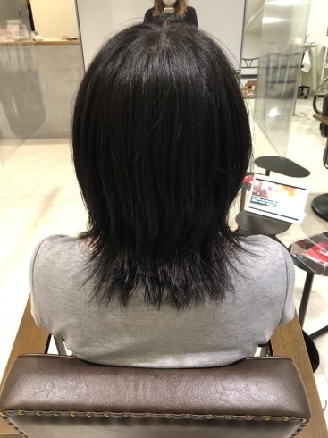 ミディアムヘアのカットモデル募集します たしろグループ Tashiro Izumo 在ーのニュース まいぷれ 出雲 ミディアムヘアのカットモデル募集します たしろグループ Tashiro Izumo 在ーのニュース まいぷれ 出雲