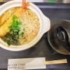 海老天うどん（温）