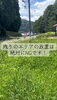 「広い土地を味方にする、草刈りビフォーアフターと平屋見学会のご案内」