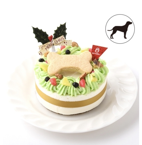 クリスマスケーキ　ボーン「わんこのクリスマスケーキご予約承り中～　(*´ω｀*)」