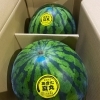 「秋田県横手市産　武藤農園のすいか「あきた夏丸🍉」です✨」