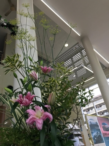 静岡市花屋 花仕事ヴェルデ お気に入り旬の花入荷情報 花仕事 ヴェルデのニュース まいぷれ 静岡市