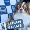 スズキ自販愛媛の新しいステッカーもよろしくね🐕✨「JCJ徳島支部さんご来店💓いらっしゃいませ✨レッツゴー」