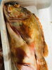 「西海物産館・魚魚市場鮮魚コーナーおすすめは「レンコ鯛」入荷しました！」