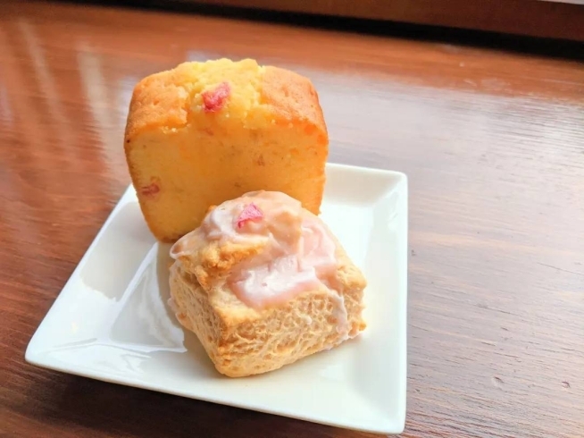 桜のパウンドケーキ、桜のスコーン「吉野の桜を観たあとは！春メニューのランチを!!奈良県御所市隠れ家カフェ「Tsumugu」」