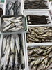「活〆特大ヒラメが入荷しました！！」