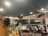 「ハッピーハロウィン🎃🦇」
