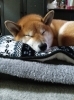 エネルギー充填っと・・・「号外! 成績アップにつながる連休の上手な使い方って??～寝屋川の小さな塾より」