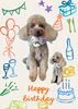 「Dog salon mofu mofu　余市町」