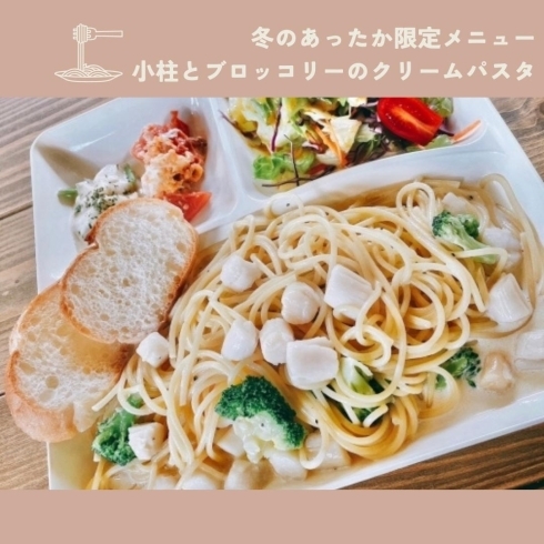 「Pasta dining C-studio【おすすめメニューのご紹介】」