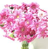 「プロポーズの花束をお預かりしました♡【宮崎/ボトルフラワー/ドライフラワー加工/宮崎花束加工保存】」