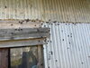 カメムシ被害「害虫や小さな痕跡を見つけたら｜ご家族で変化を共有して早めの現地確認をご相談ください」