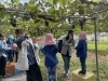 甘くておいしい～♡「秋の親子遠足へ行ってきました！ブドウ狩り＆ばんげひがし公園」