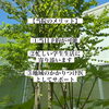 「【松江市・夏休み】子宮頸がん予防ワクチン（HPVワクチン）接種は当院へ。当日予約OK！部活・塾の合間に」