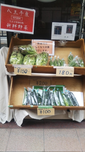 ズッキーニ、いんげん、サニーレタス「人気の朝採れ新鮮野菜！八王子産 野菜販売中！ おかどやさんのからあげお弁当も販売中！ユーロードで陶器市もやってます。いんげん、大根、キャベツ、ズッキーニ、サニーレタス、モロヘイヤ CAFE カフェ ひとやすみ」