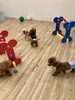 Ａきなこちゃんに「ガオ〜っ」する　くうくん(笑)「ましゅまろ幼稚園　(^O^)」