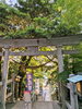 鳥居をくぐって進みました👣「2026年後半戦になりました🌿」