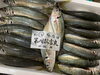 「鮮魚パックいろいろ販売中‼️〆鯖も販売致します🐳」