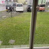 「久々に本格的な雨」