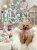 はなちゃん「MerryXmas🎄」