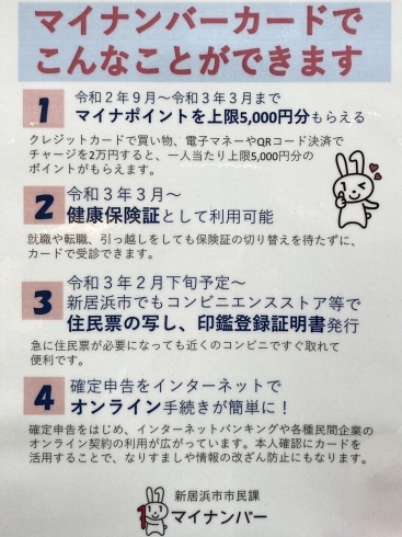 「11月18日～20日、イオンモール新居浜特設会場にて、マイナンバーカード申請＆マイナポイント予約申込＆ご相談会、開催中！」