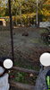 「【児発、放デイ】円山動物園【札幌市北区児童デイ】」