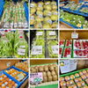 「信州山形村産地直送『春堀り長芋』道の駅木曽福島」
