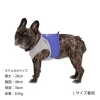「猛暑のお散歩中も、ヒンヤリ快適に。」