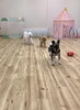 それ〜っ「ましゅまろ幼稚園」