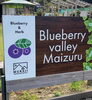 「秋のBlueberry valley Maizuruへ🌿」