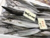 「魚魚市場鮮魚コーナーおすすめは「チカメキントキ」です🎶　」