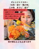 元気エネルギーいっぱいのオレンジカラー「お客様から誕生日のお花を頂きました【諏訪市おすすめ温め×整えエステサロン🌿サンビューティラボ】」
