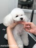 「冬のオプションキャンペーン　^ - ^」