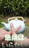NEWペchattea侍2「NEWchatteaの真動画」