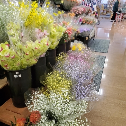 華やかな花々「【はなやホック皆生店】たくさんの切り花とセット花」