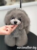 こっとんヘア「スタイルチェンジ　（＾ν＾）」