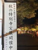 永観堂夜の特別拝観「京都紅葉紀行3日間　①日目」
