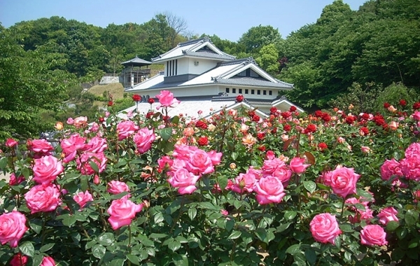 【かわら館フェスタ ～バラまつり～ 愛媛/今治市】 風薫る5月、ロマンティックなバラの魅力を満喫しよう！